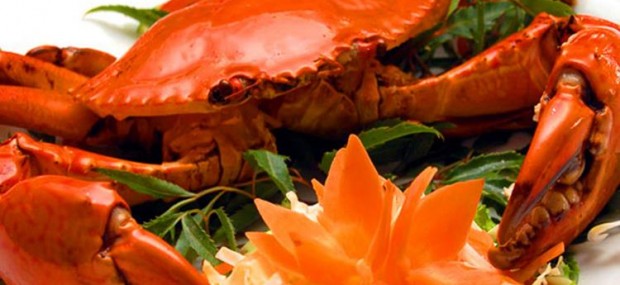 Nha Trang crabs