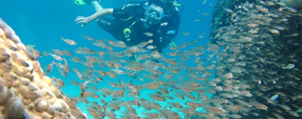 nha trang optional tour